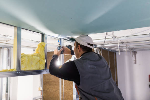 Best Commercial Insulation in Shell Lake, WI